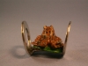 Frog Rolling Toy