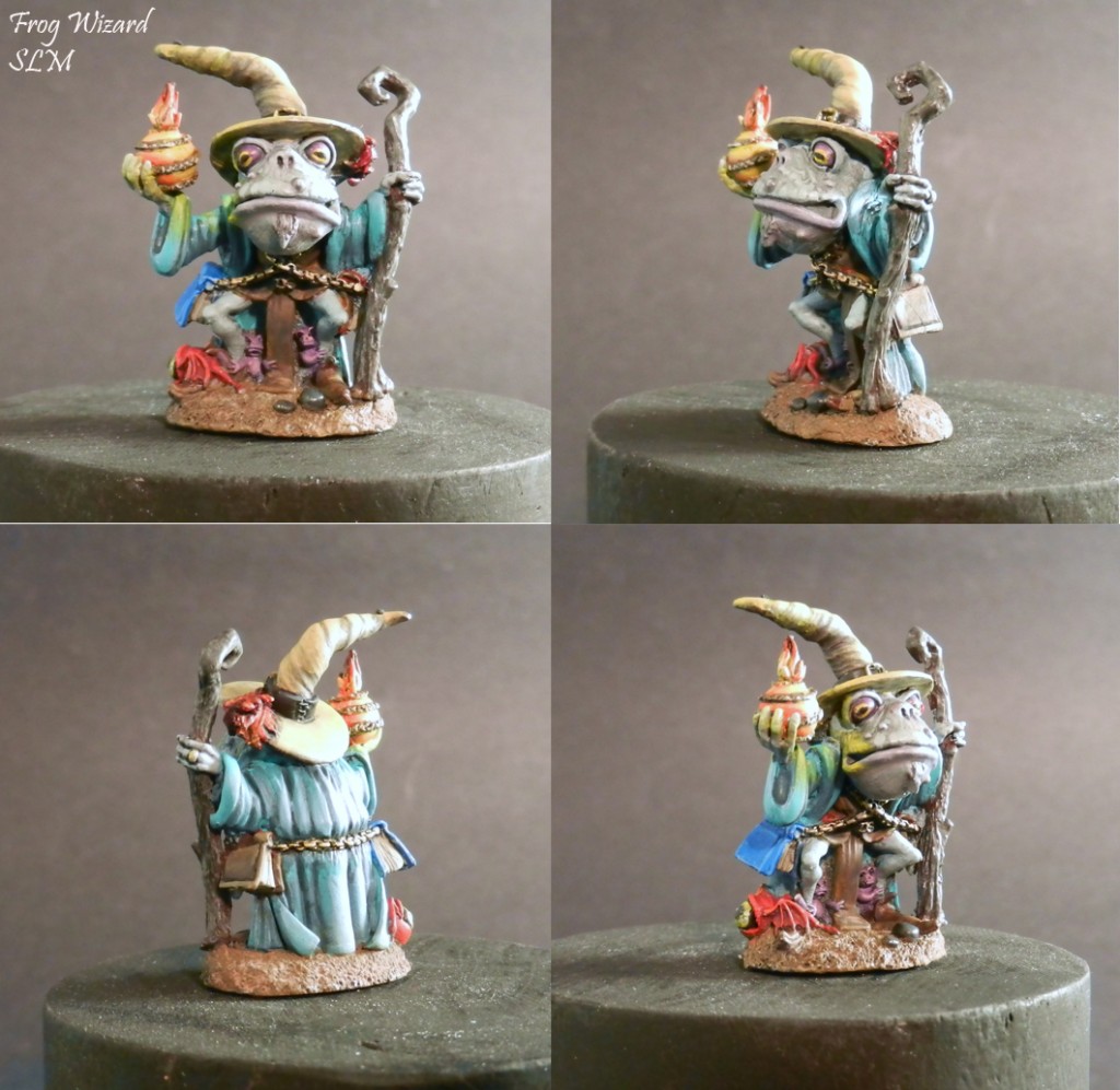 Frog Wizard